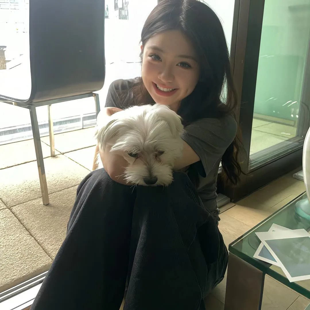 灰鸽子之歌