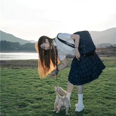 百鸟朝凤